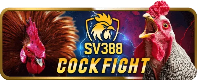 Phân tích chương trình khuyến mãi rs88 win